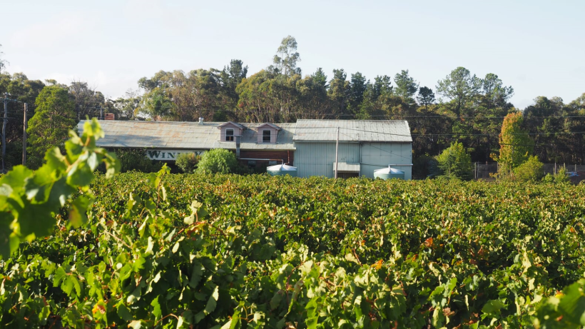 Heritage Estate Vineyard